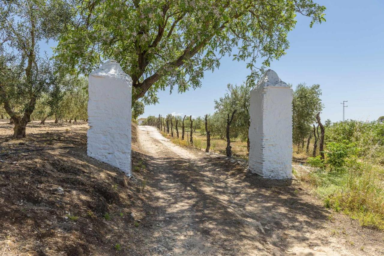 Вилла Hacienda San Antonio Марчена Экстерьер фото